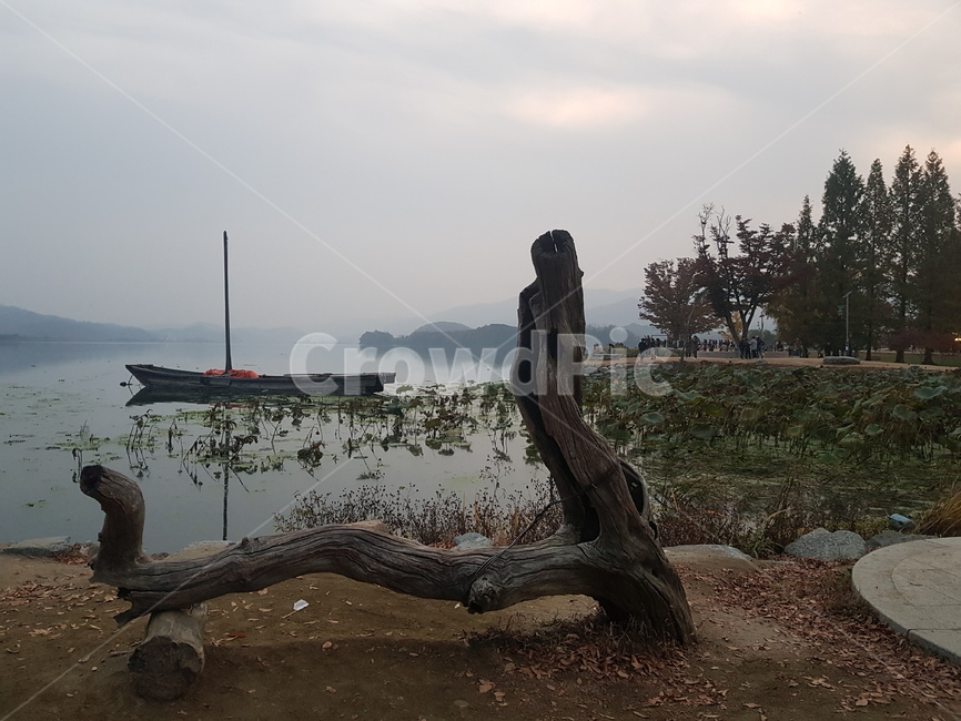나룻배,배,나무,풍경,scenery,경치,강,호수,안개