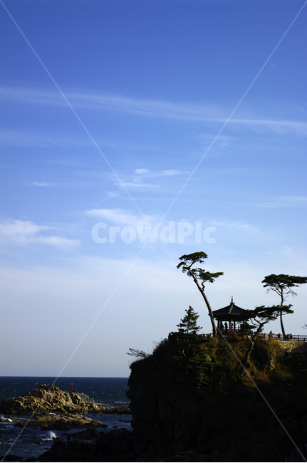 풍경,하늘,소나무,구름,정자,바다,자연,풍경,nature,landscape,한국자연풍경,한국자연경관,korea nature landscape,outdoors,옥외