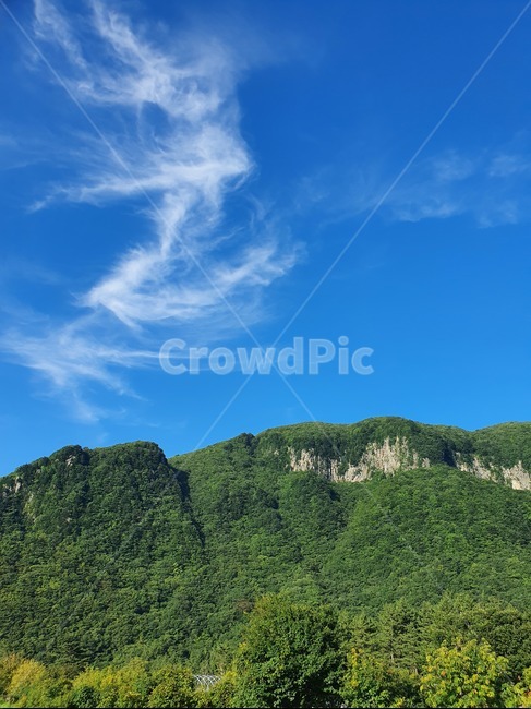 울릉도,나리분지,구름,파란하늘,nature,자연,산,자연,풍경,nature,landscape,outdoors,옥외