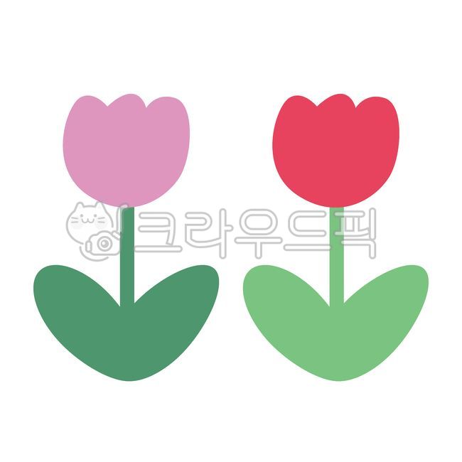 Tulip,cute,flower,spring,tuliptulip