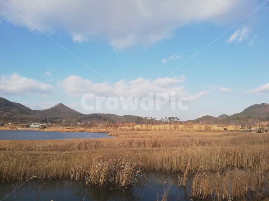 물,자연,outdoors,nature,land