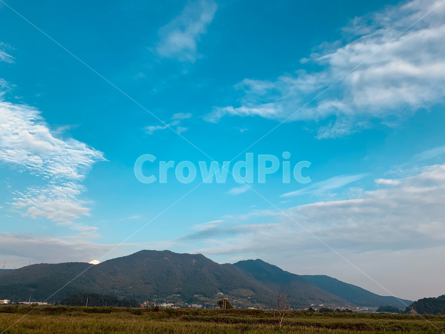 순천,suncheon,nature,자연,outdoors,옥외,순천만습지,suncheonmanbay,여름,summer,구름,여름하늘,sky,하늘