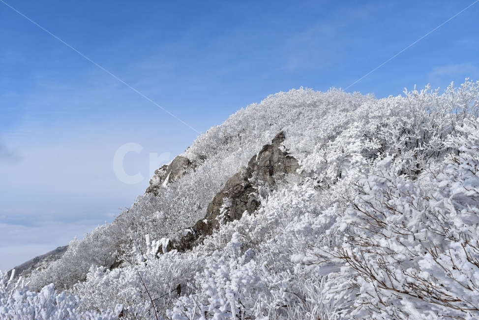 소백산,눈꽃풍경,상고대,겨울풍경,국립공원,겨울동화,눈풍경,파란하늘,100대명산,겨울명산,설경,서리꽃,영동,snow,landscape,자연,풍경,nature,landscape,겨울,계절,winter,season,outdoors,옥외,mountain,산
