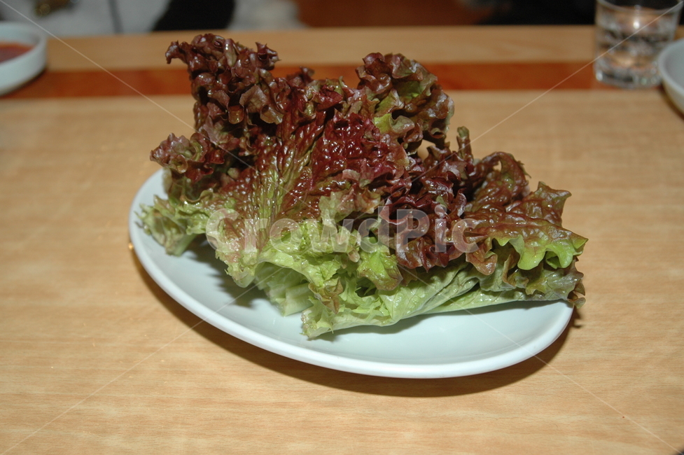 상추,채소,야채,음식,food,음식,식재료,요리,food,cook,meal,dishes,food reserves,채소,야채,vegetables
