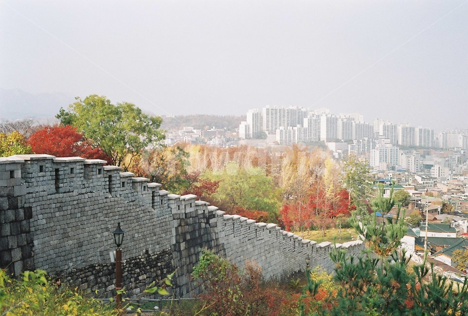 필름,가을,공원,서울,필름카메라,가을,계절,fall,autumn,season,도시,풍경,city,landscape,한국도시풍경,한국도시경관,korea cityscape,path,통로,walkway,보도
