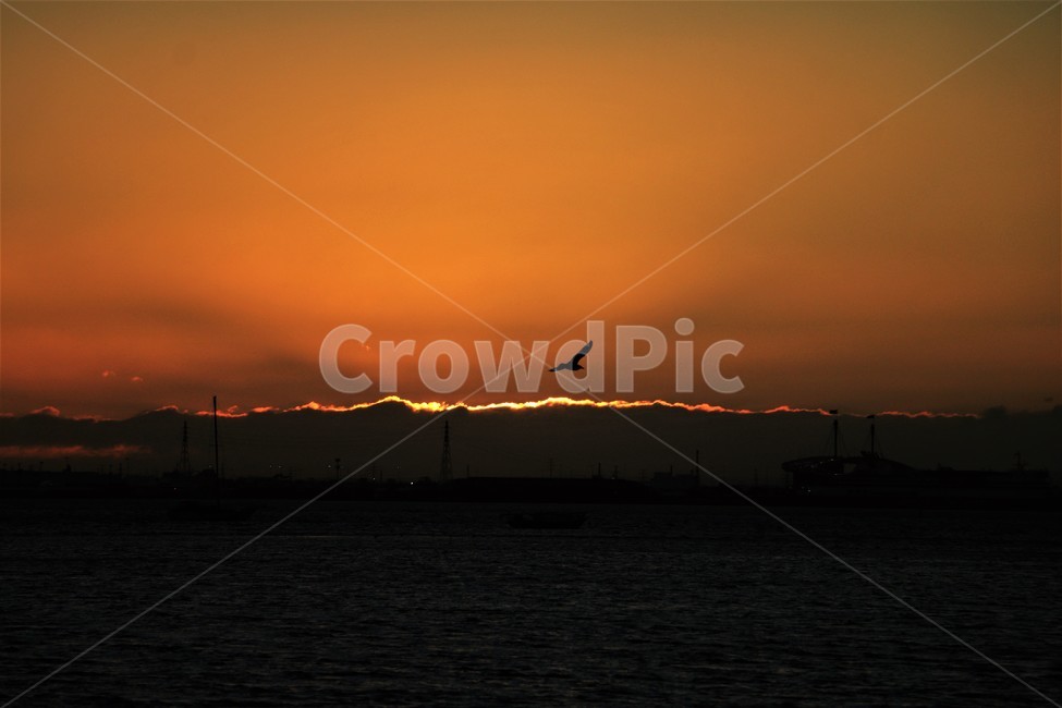 노을,바다,새,구름,큰구름,뭉게구름,주황색,sunset,sea,ocean,beach,bird,cloud,orange,감성