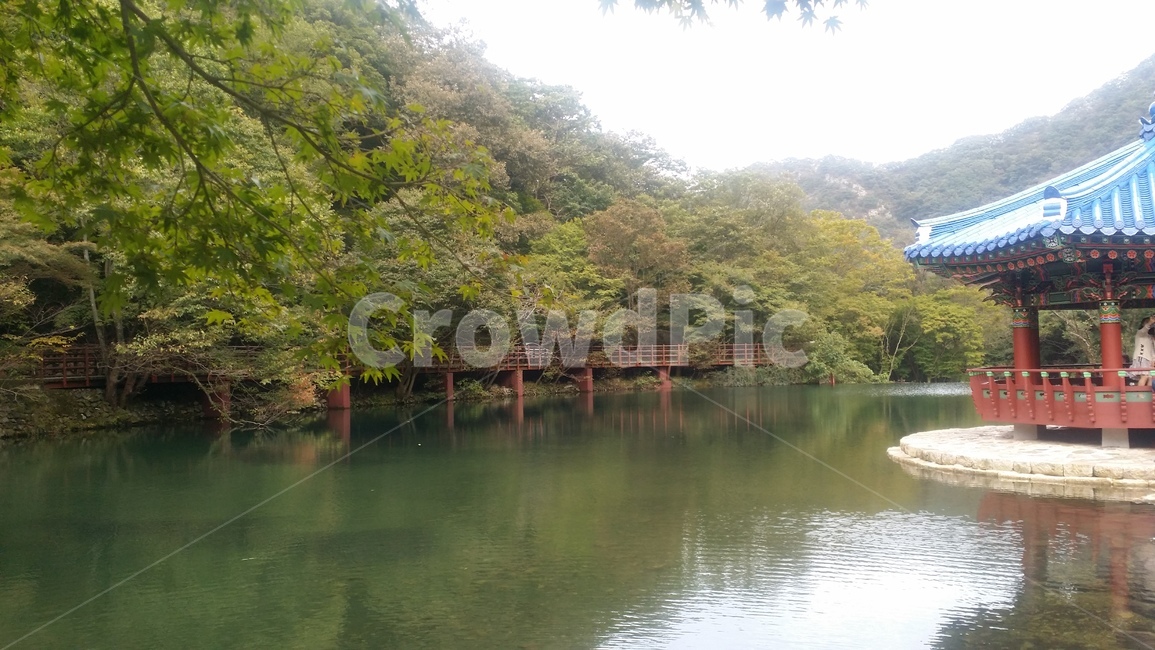 내장산,가을,호수,풍경,숲,자연,풍경,nature,landscape,water,물,outdoors,옥외