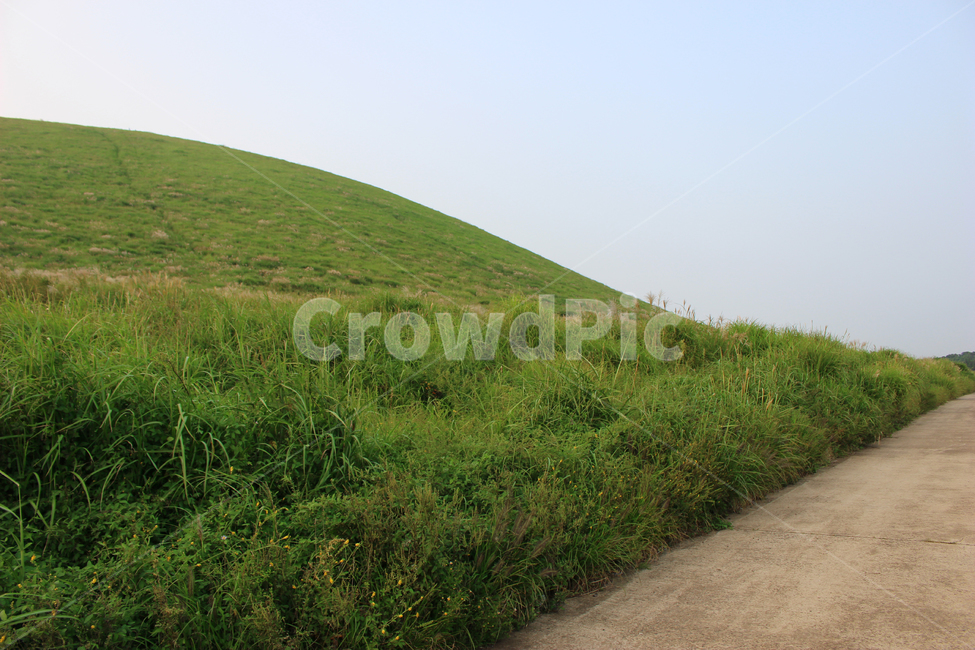 언덕,풀,오름,잔디,자연,제주,grassland,field,들,jeju,자연,풍경,nature,landscape