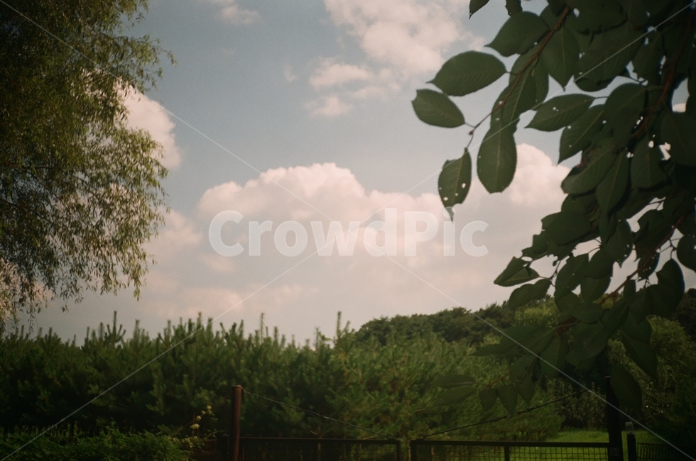 풍경,하늘,필름,자연,nature,자연,풍경,nature,landscape,outdoors,옥외
