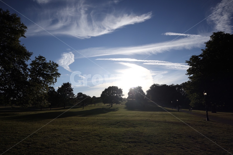 outdoors,grass,field,잔디,나무,tree,프림로즈힐,primrosehill,sunset,일몰,london,런던,해질녘,해,자연,풍경,nature,landscape