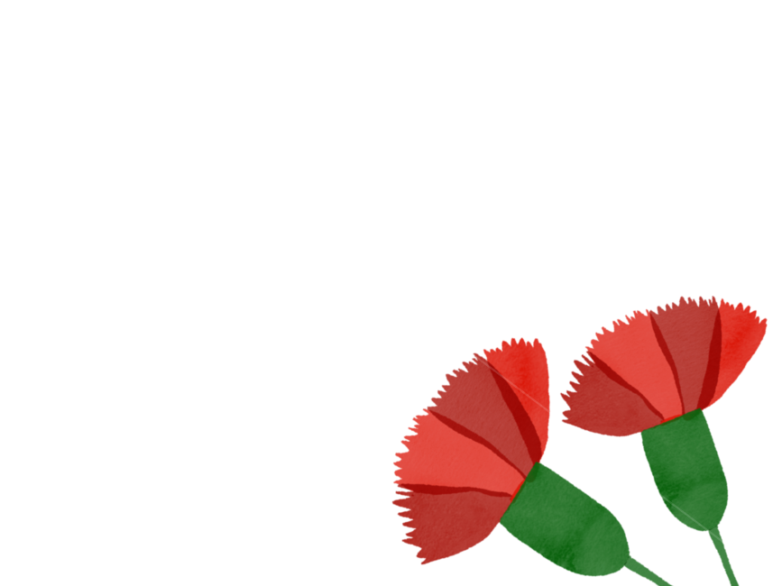 카네이션일러스트,어버이날,스승의날,어버이날라벨,스승의날라벨,스승의날이름표,카네이션라벨,카네이션이름표,카네이션손그림,카네이션수채화,카네이션배경