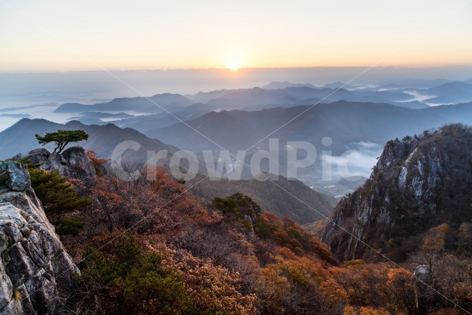 풍경,대둔산,일출,운해,소나무,바위,가을,계절,fall,autumn,season,자연,풍경,nature,landscape,한국자연풍경,한국자연경관,korea nature landscape,mountain,산,mountain range,산맥,outdoors,옥외