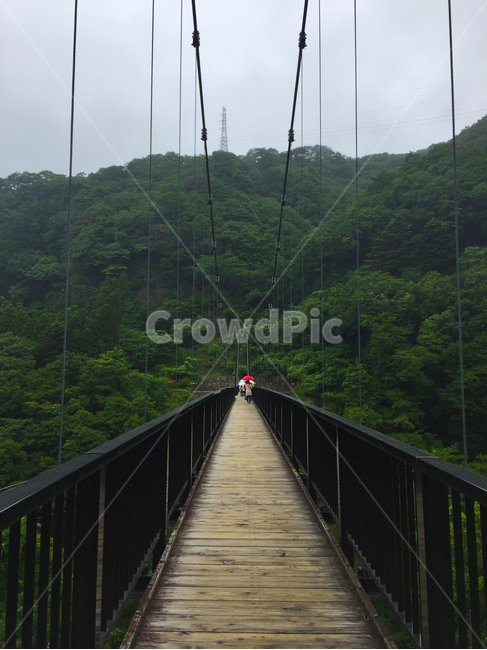 다리,무서운,높은,흔들다리,나무다리,bridge,scared,high,자연,풍경,nature,landscape,building,건물