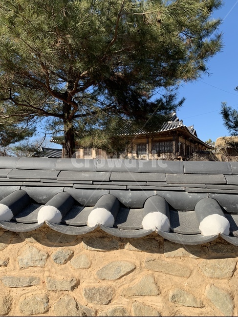 한옥,hanok,기와,담,돌담,하늘,bluesky,소나무