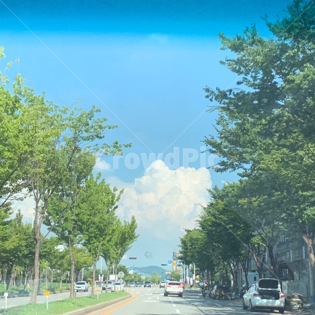 road,도로,urban,어반,교통,자동차,car,차,transportation,automobile,street,거리,town,건물,도시,구름,나무,cloud,tree