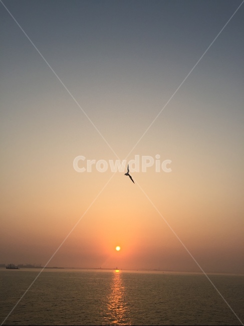 해돋이,바다,해,sunrise,sun,sea
