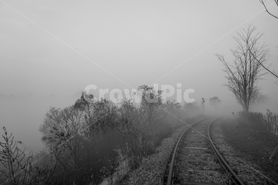 철길,철로,기찻길,안개,나무,가을,새벽,자연,풍경,nature,landscape,흑백,모노톤,monochrome,black and white,transportation,교통,rail,레일,train track,railway,철도