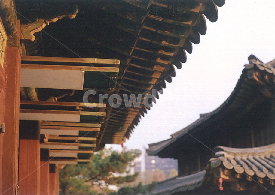 덕수궁,궁궐,고궁,서울,한옥,랜드마크,deoksugungpalace,koreanculture,한국,전통,기와,korea,한국관광지,문화유산,landmark,exterior,궁,왕,보물,처마,한국전통,한국문화,korean traditional,korean culture,건축물,건물외관,exterior,building,structure,architecture,construction