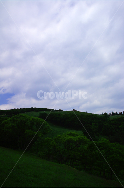 초원,목장,하늘,구름,풍경,풍광,자연,nature,landscape,자연,풍경,nature,landscape,outdoors,옥외