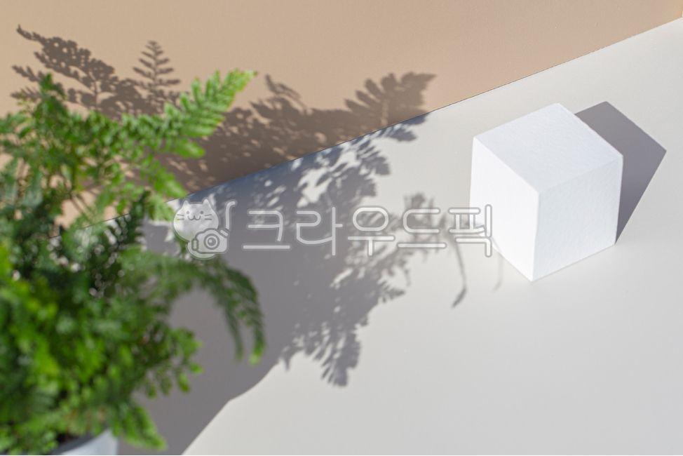 exhibition,shadow,display,leaf,filming props,3d background,white,light,prop,plant,showcase,display box,white box,exhibition die,exhibition stand