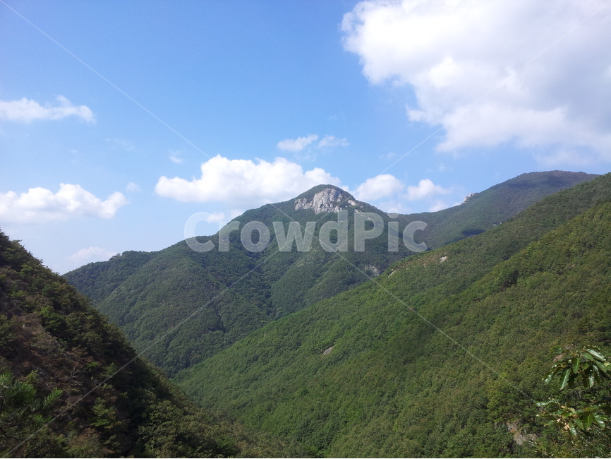 재약산,영남알프스,가을,한국의산,풍광,자연,풍경,nature,landscape,outdoors,옥외,hill,언덕