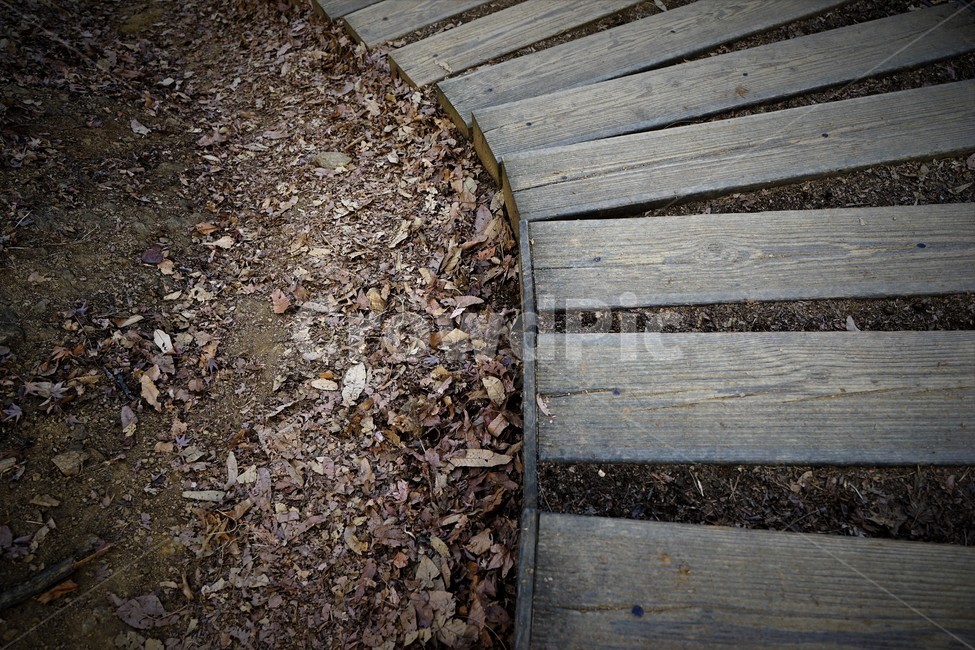 겨울산행,계절,계단,나무계단,낙엽,자연,풍경,nature,landscape,ground,바닥