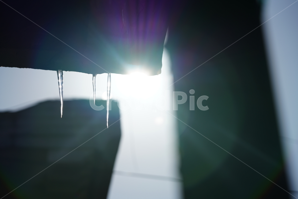 고드름,얼음,겨울,계절,추위,옥외,nature,자연,빙,ice,outdoors,겨울,계절,winter,season