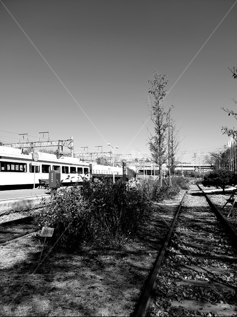 transportation,교통,traintrack,기찻길,rail,레일,railway,철도,추억,흑백,감성,흑백,모노톤,monochrome,black and white,교통,교통수단,traffic,transportation