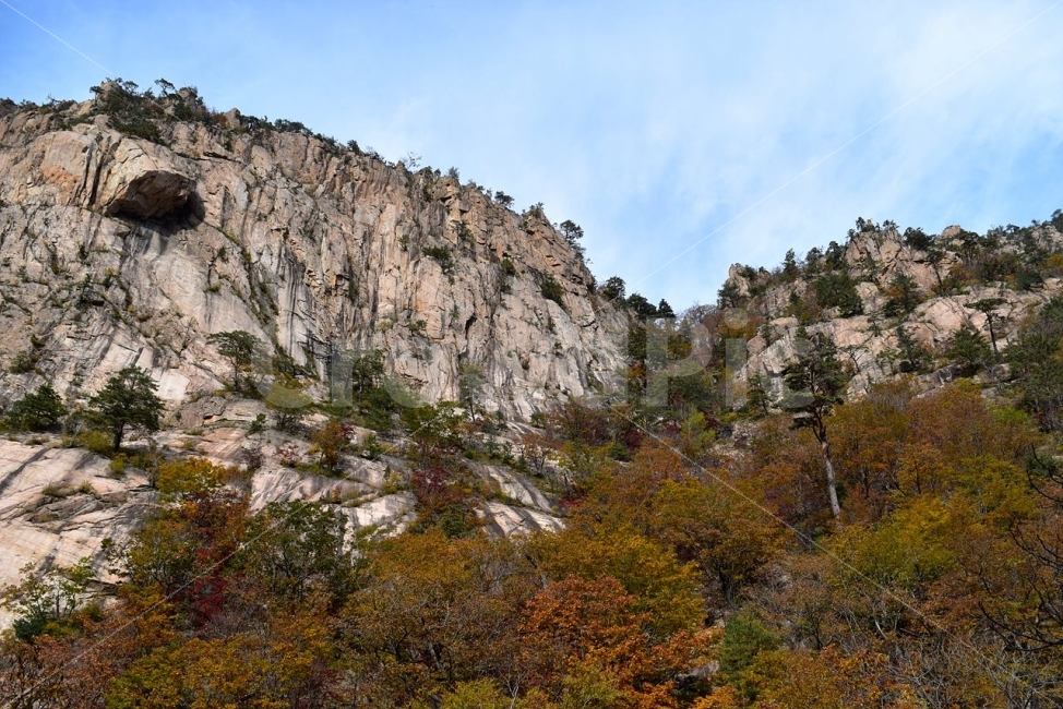 설악산,가을,단풍,풍경,백담사,구곡담계곡,수렴동계곡,계곡풍경,오색단풍,파란하늘,가을색,자연,스포츠,등산,산행,nature,느낌,아름다운,다큐,필,계절,디자인,힐링,명산,국립공원,순백,트레킹,단풍잎,오색,칼라풀,뷰티플,단풍터널,단풍숲,산객,등산객,그림같은,감성,절경,자연,풍경,nature,landscape,가을,계절,fall,autumn,season,outdoors,옥외,tree,나무,plant,식물,fir,전나무,cliff,낭떠러지