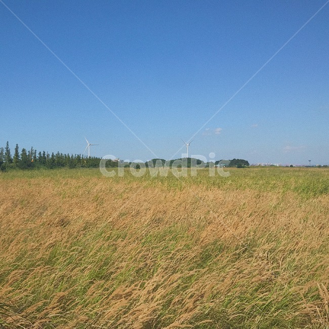 가을풍경,하늘,들판,풍력발전기,자연,자연,풍경,nature,landscape,field,들,grassland,목초지,outdoors,옥외