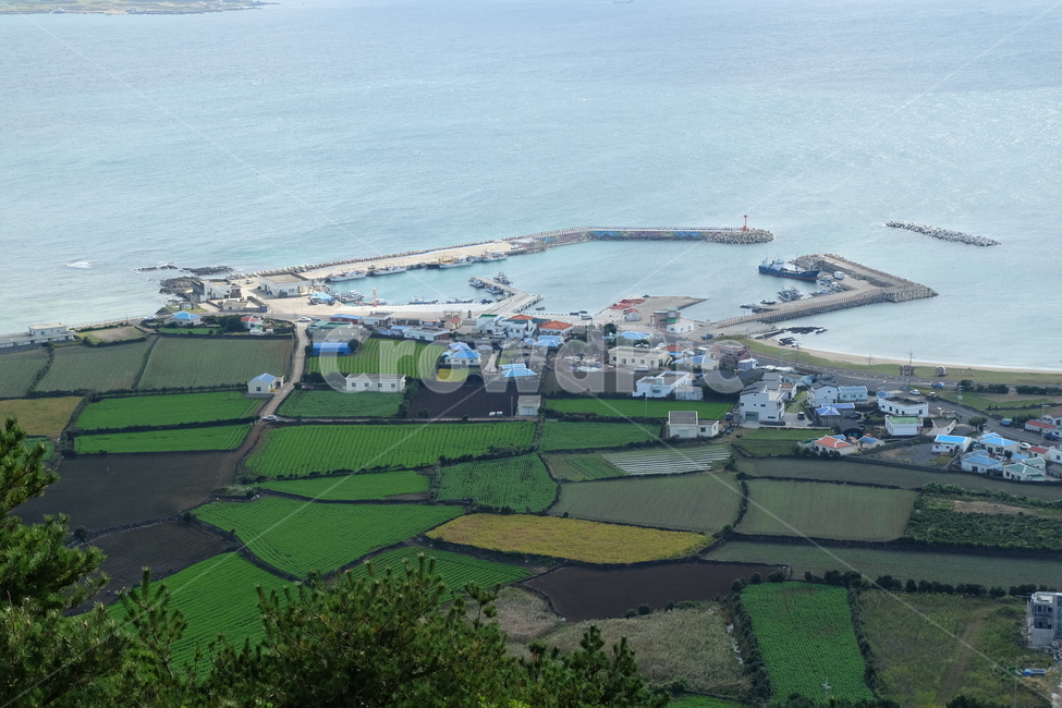 제주,바다,우도,하늘,제주도,sea,sky,jeju,항구,포구
