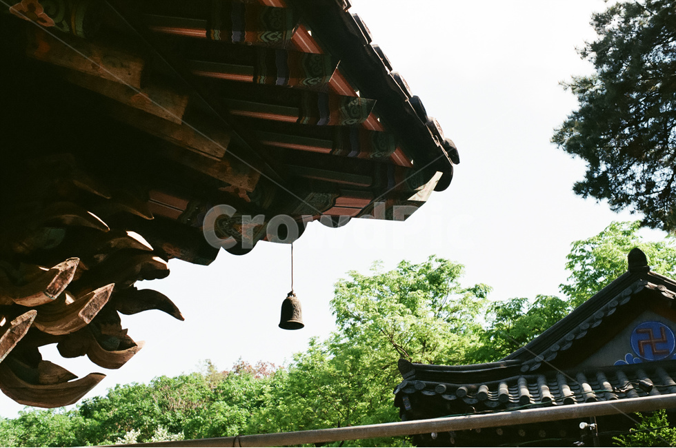 절,기와,처마,사찰,한옥,한국전통,한국건축,전통,고건축,역사,종,불교,종교,건축물,지붕,temple,koreantradition,buddha,asia,koreanarchitecture,koreanbuilding,buddhism,oriental,한국전통,한국문화,korean traditional,korean culture,건축물,건물외관,exterior,building,structure,architecture,construction