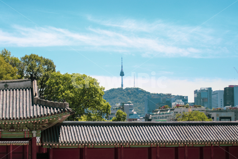 남산,남산타워,랜드마크,관광지,창덕궁,창경궁,중구,전망대,서울,한국관광지,한국명소,서울n타워,풍경,서울풍경,남산풍경,한옥,기와,조화,동양,건물,현대식,peaceful,평화로운,편안한,휴식처,힐링,안락한,따뜻한,warm,분위기,한국도시경관,도시풍경,한국,맑은,깨끗한,청명한,한국도시풍경,도시,풍경,city,landscape,한국도시풍경,한국도시경관,korea cityscape,한국전통,한국문화,korean traditional,korean culture,랜드마크,landmark,tourist attraction,한국랜드마크,한국관광지,한국명소,korea landmark,korea tourist attraction,roof,지붕,building,architecture,건축물