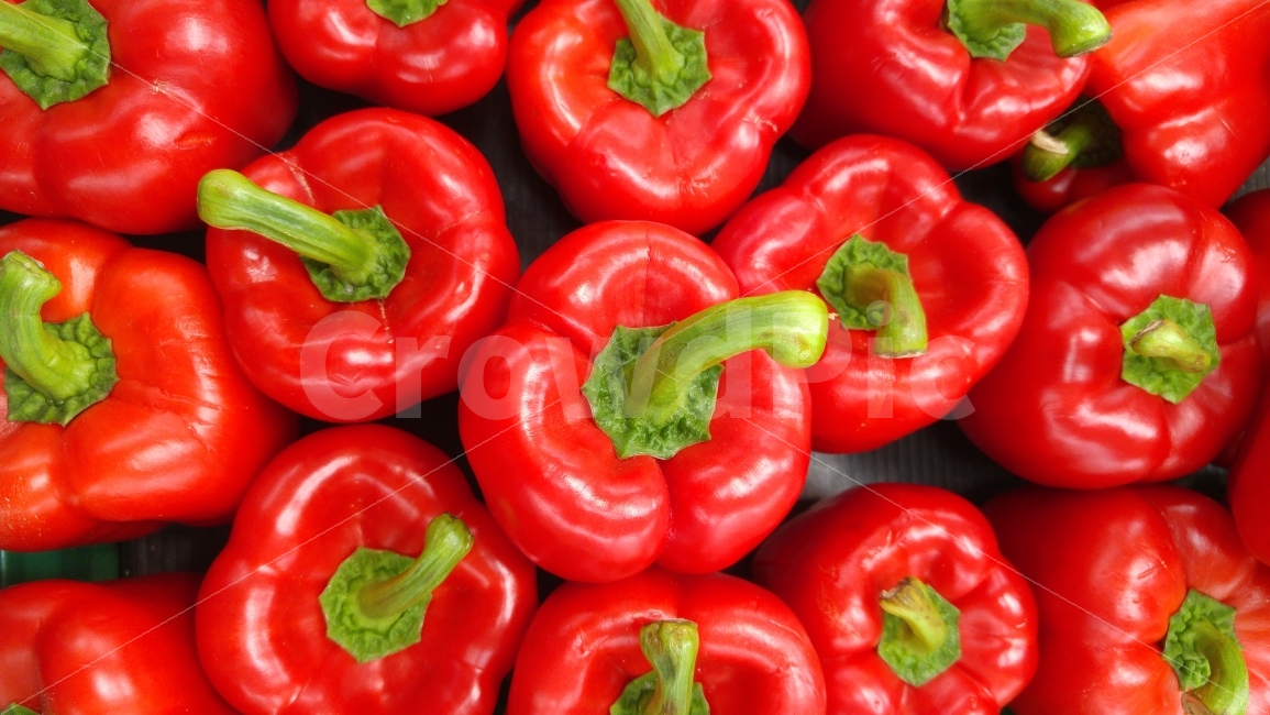 salad,data,beauty,taste,primary color,Home Shopping,healthy food,draft,beauty food,fiber,tap,Crunchy,shape,edit,textile,vitamin,market,Hoppage,contents,background,animated,pepper,color,pattern,vegetable,Texture,web,design,diet,table,ingredient,green,mart,