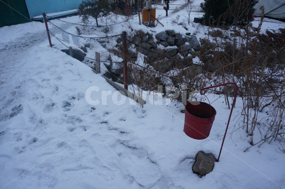 양동이,눈,겨울,다리,새벽,겨울,계절,winter,season