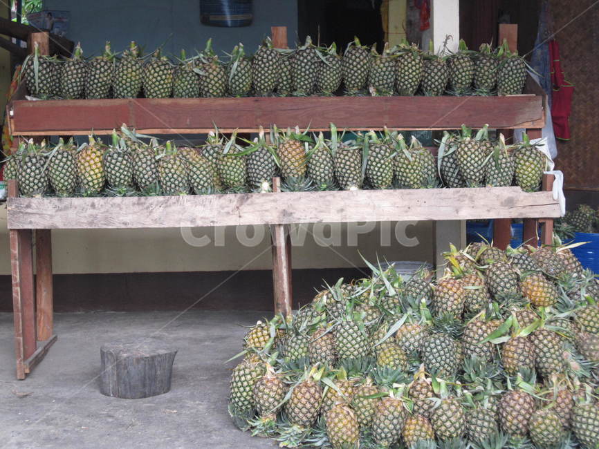 파인애플,pineapple,fruit,과일,음식,음식,식재료,요리,food,cook,meal,dishes,food reserves,과일,열매,fruit