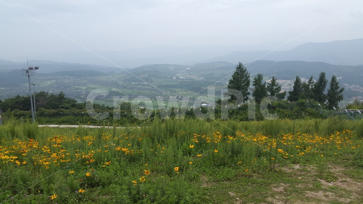 자연,풍경,안개,경치,꽃밭,자연,풍경,nature,landscape,grassland,목초지,outdoors,옥외,field,들,farm,농장,rural,농촌,meadow