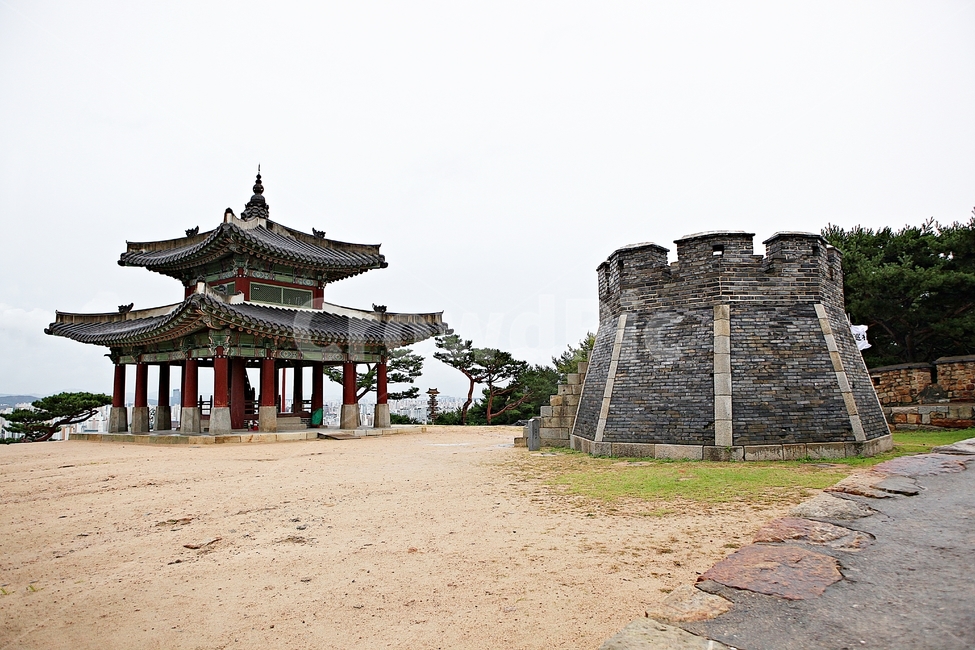수원화성,성,성곽,길,둘레길,담,돌담,가을,자연,풍경,벽,방어벽,전통,흙담,식물,한국전통,한국문화,korean traditional,korean culture,건축물,건물외관,exterior,building,structure,architecture,construction