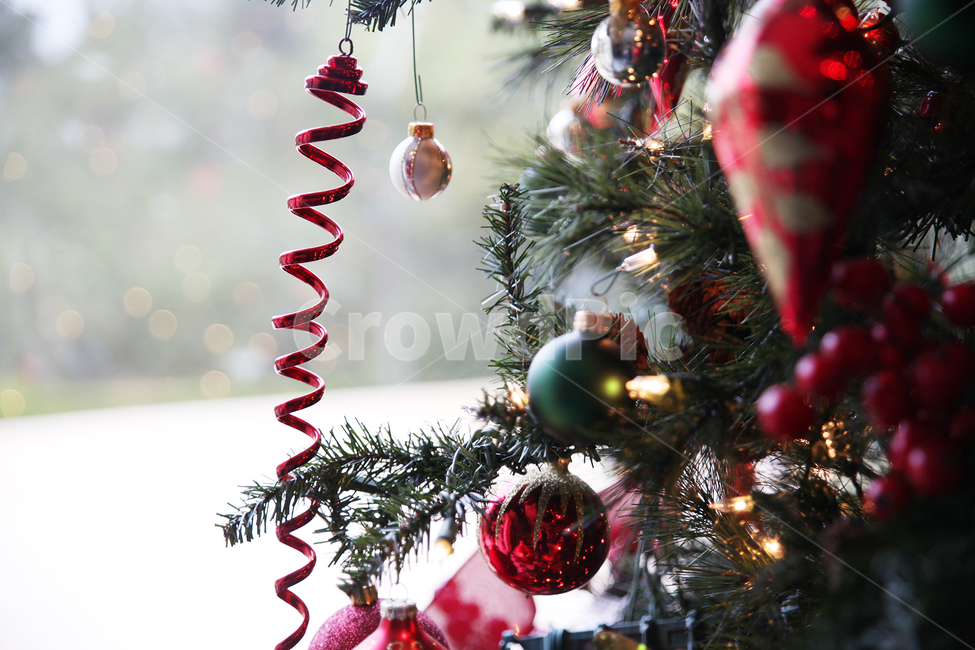 녹색,장식품,작은보케,크리스마스,선물,창가,겨울,메리크리스마스,성탄절,merry christmas