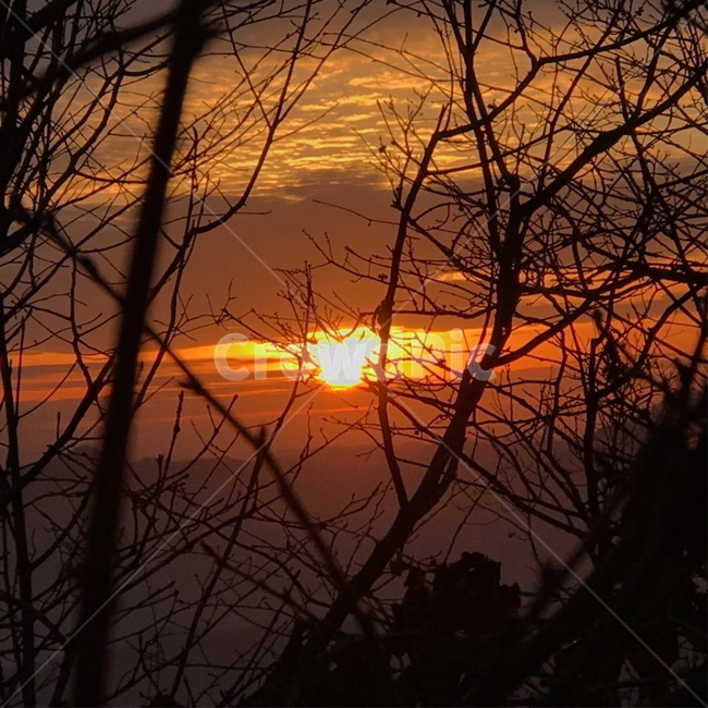 1월1일,2019,새해,신년,돼지띠,복,해돋이,자연,풍경,nature,landscape,outdoors,옥외,dusk,황혼,sunset,일몰,sky,하늘,dawn,새벽,red sky,붉은 하늘