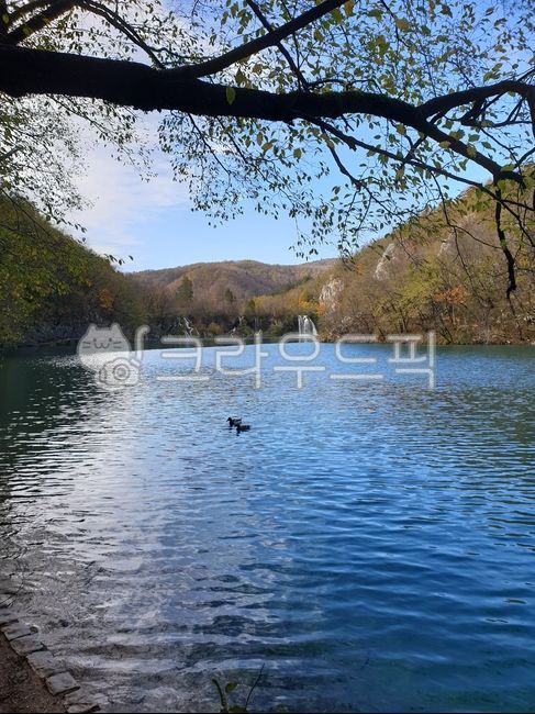 자연,풍경,호수,나무,자연풍경,nature,water,물