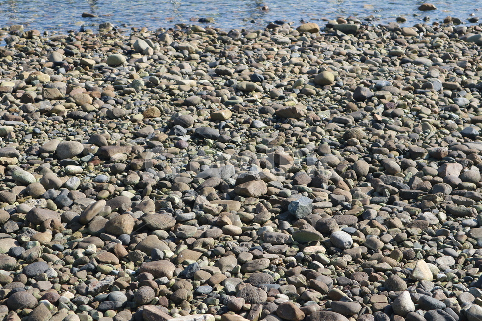 몽돌해변,돌,해변,자갈,몽돌,자연,풍경,nature,landscape