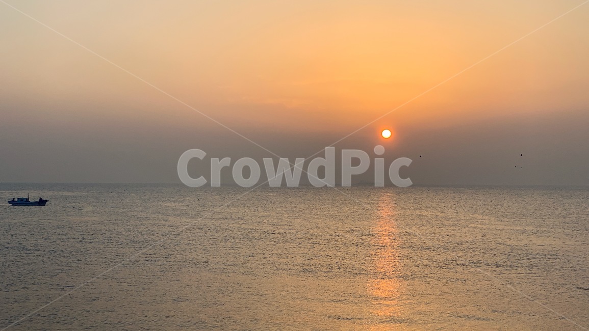 일출,해돋이,sunrise,태양,sun,새벽,dawn,수평선,horizontalline,sealine,바다,잔잔한바다,바닷가,sea,하늘,sky,갈매기,seagull,mew,gull,seamew,배,고기잡이배,ship,boat,자연,풍경,nature,landscape,sunlight,햇빛,outdoors,옥외