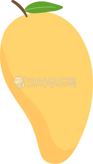 망고,열매,과일,열대과일,트로피칼,후르츠,동남아,식재료,요리재료,디저트,후식,음식,제철과일,노랑색,과실,여름,계절과일,mango,tropical,fruit
