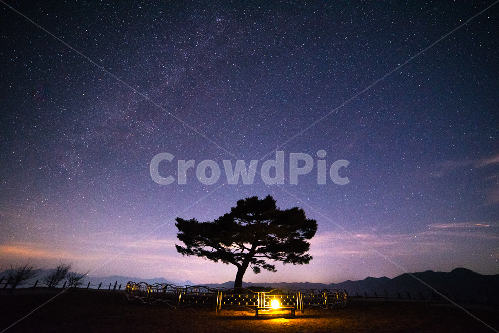 은하수,미리내,별,야간,풍경,겨울,타임캡슐공원,영월,강원도,자연,풍경,nature,landscape,야경,밤,nightscape,night,outdoors,옥외