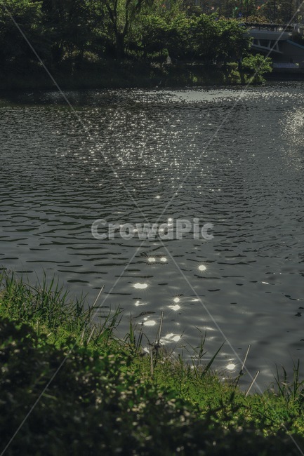 호수,윤슬,빛,여유,햇살,자연,풍경,nature,landscape,휴식,힐링,rest,relaxation,healing,water,물,outdoors,옥외