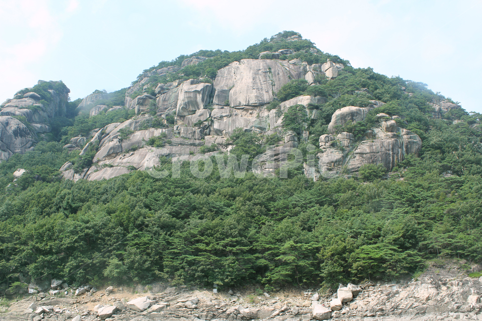 asia,cliff,forest,green,korea,mountain,nature,rock,stone,tree,자연,한국,아시아,절벽,암벽,돌,바위,바위산,풍경,숲,나무,그린,녹색,산,산정상,정상,산꼭대기,자연,풍경,nature,landscape,한국자연풍경,한국자연경관,korea nature landscape,outdoors,옥외