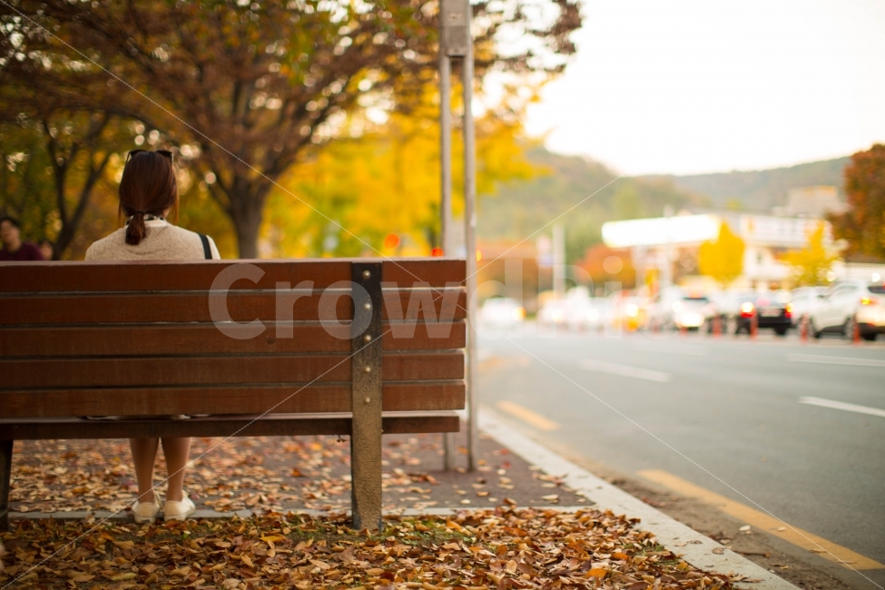 여행,인물,가을,낙엽,감성,기다림,이별,슬픔,가을,계절,fall,autumn,season,휴식,힐링,rest,relaxation,healing,사람,인물,인간,human,person,여성,여자,woman,female,lady,감정표현,기분,feeling,emotion,고독함,외로움,쓸쓸함,우울함,슬픔,lonely,solitary,furniture,가구,bench,벤치