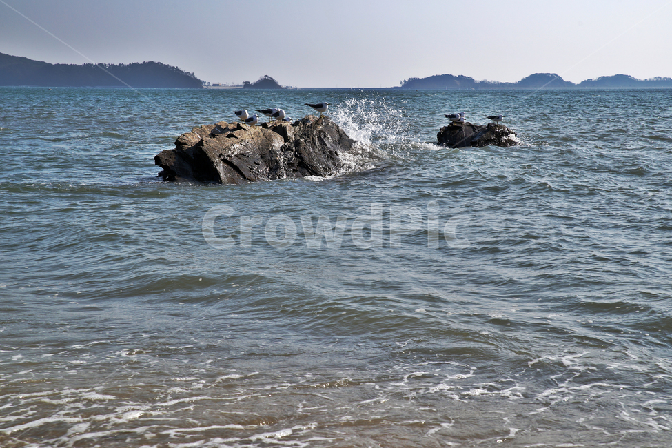 선재도,목섬,서해안,인천,바다,섬,바위,갈매기,자연,풍경,nature,landscape