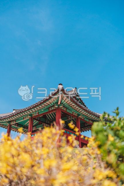 수원화성,서북각루,개나리,봄,유네스코